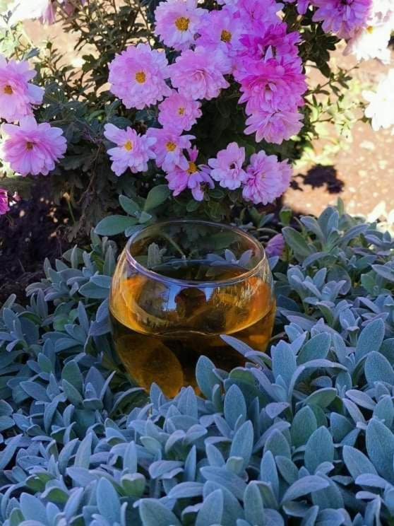 Guest House Gidi Sighnaghi Εξωτερικό φωτογραφία