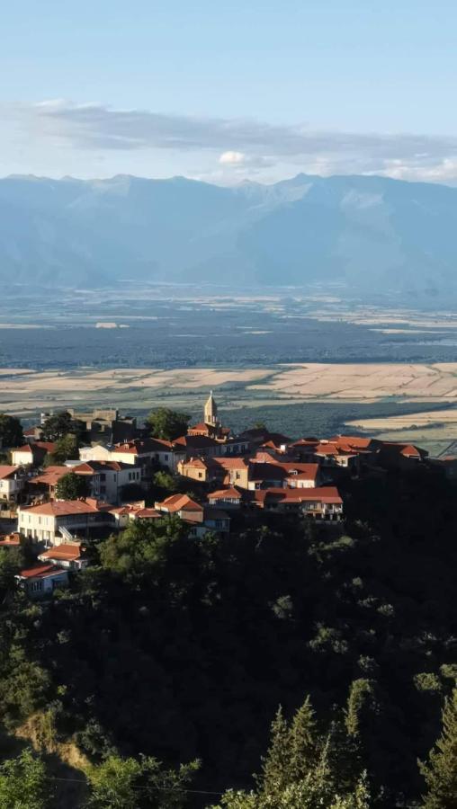 Guest House Gidi Sighnaghi Εξωτερικό φωτογραφία