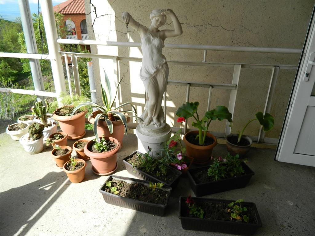 Guest House Gidi Sighnaghi Εξωτερικό φωτογραφία
