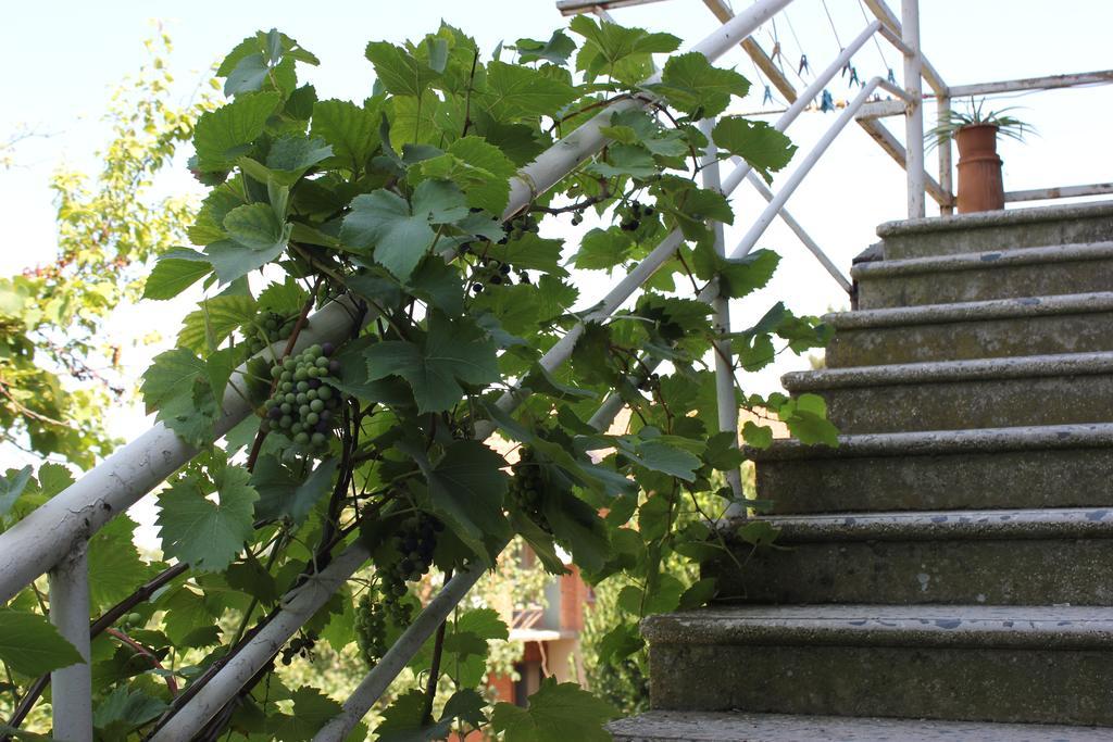 Guest House Gidi Sighnaghi Εξωτερικό φωτογραφία
